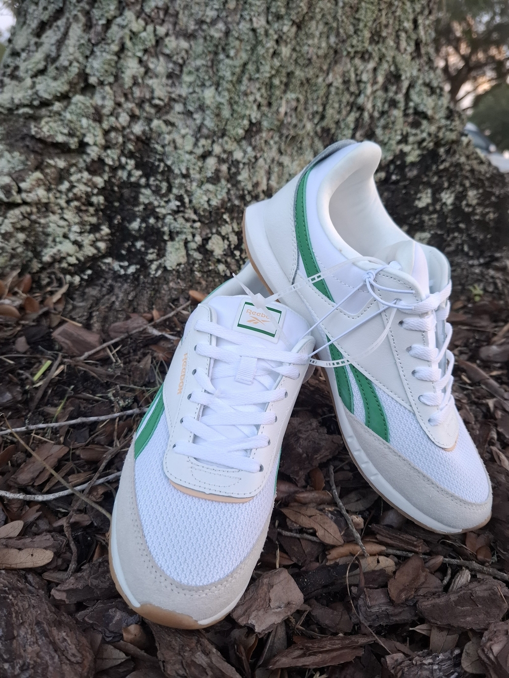 Reebok Classic White & Green girl's Sneaker